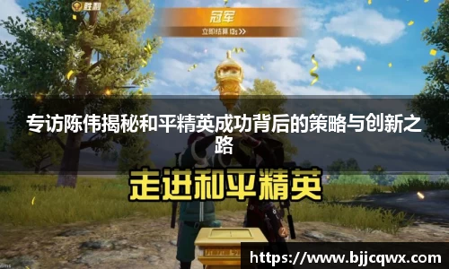 专访陈伟揭秘和平精英成功背后的策略与创新之路